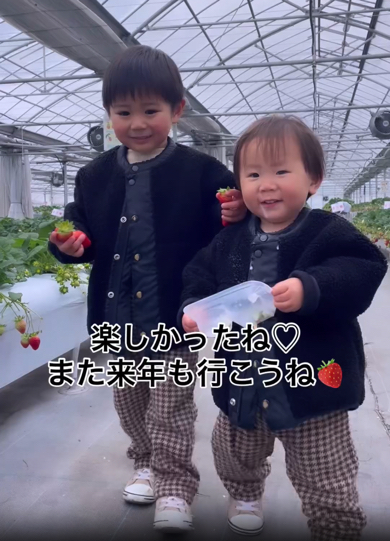 いちご狩りを大満喫した兄弟