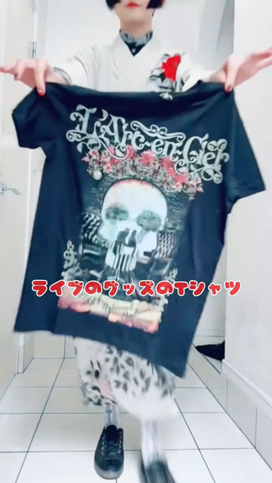 ライブに行く日の着物コーディネート