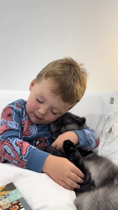 フレディと息子君