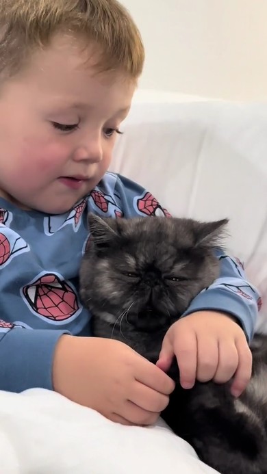 フレディと息子君