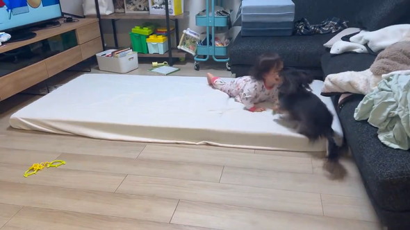 赤ちゃんとダックスフンドのワンコ