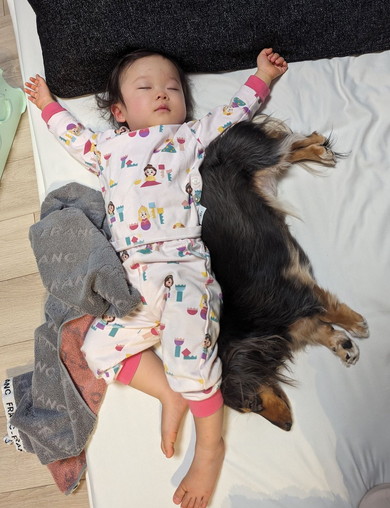 赤ちゃんとダックスフンドのワンコ