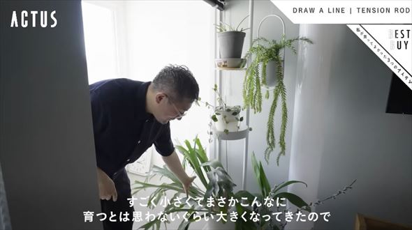 ACTUSのオシャレ雑貨まとめ