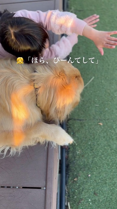 左手をさらに突き出してワンコと長さを比べようとする女の子