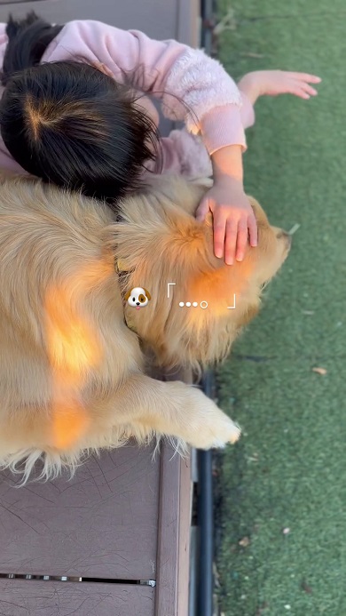 ワンコの頭をなでる女の子