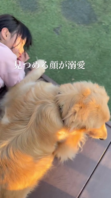 愛情に満ちた顔でワンコを見つめる女の子