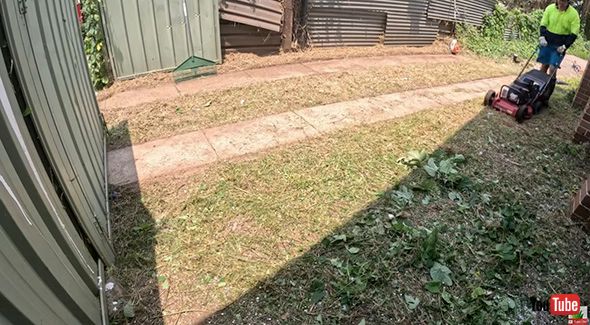 庭 クリーニング 掃除