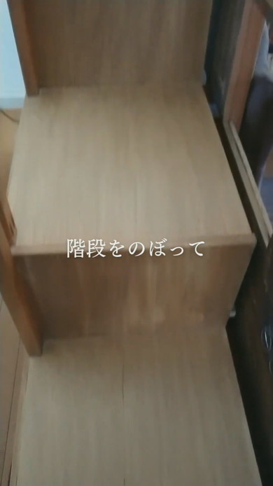 子供のリクエストに応えた秘密基地DIY