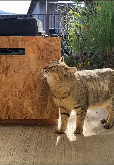 飼い主さんと距離をとりつつおしゃべり