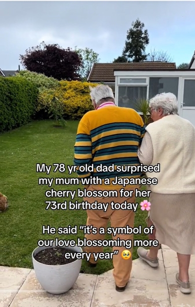 サプライズプレゼントをする父