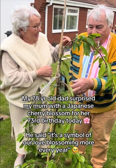 日本の桜をプレゼントされ喜ぶ母