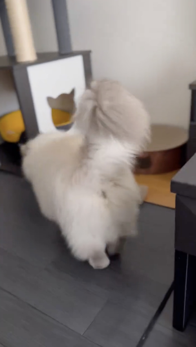 お尻を見せるいれぶん