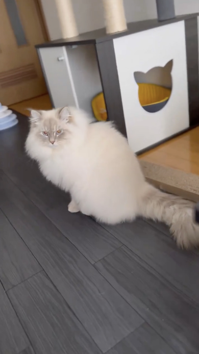 座り込むいれぶん