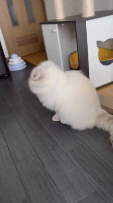 首を振るいれぶん