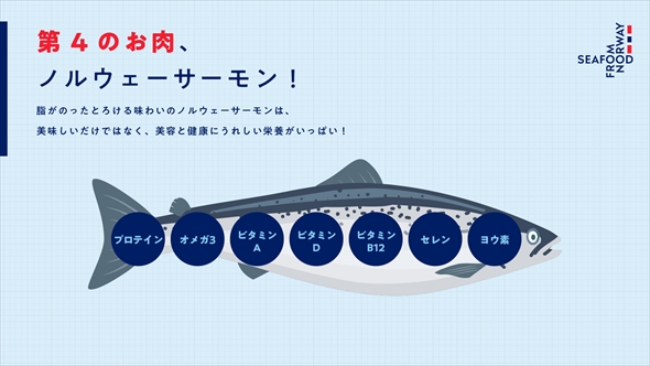 サーモン サモ肉