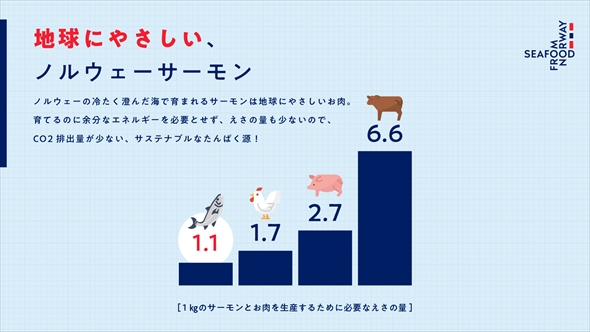 サーモン サモ肉