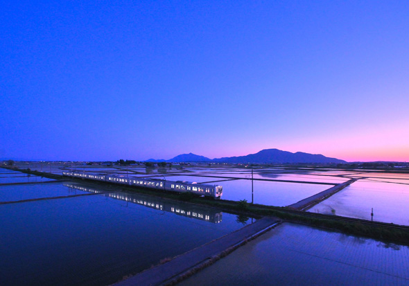 春 新潟 景色 水田 リフレクション 電車 絶景 写真