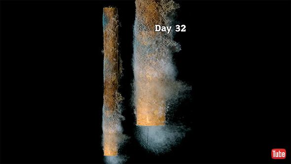 タバコの面影なし