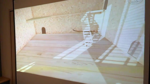 横に走るネズミの動画