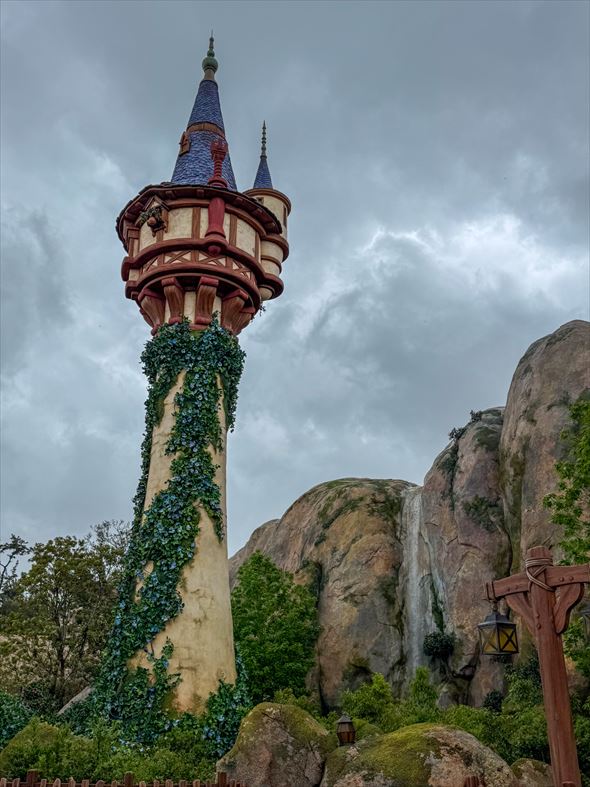 ラプンツェルの森