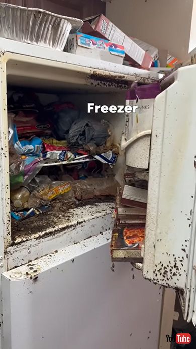 冷蔵庫の中は真っ黒……