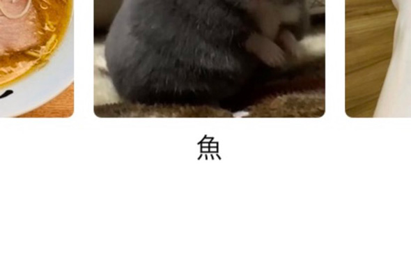 iPhone 魚 認識 ハムスター
