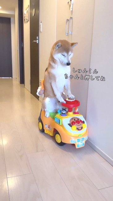 ちゃんと押してね