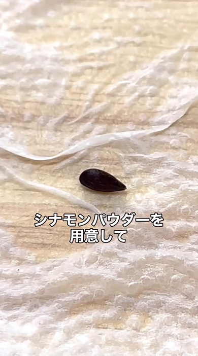 シナモンパウダーを用意して