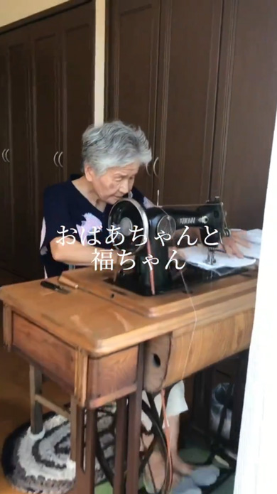 おばあちゃん 手作り 柴犬 洋服 衣装 愛犬 6着目 ミシン 手縫い