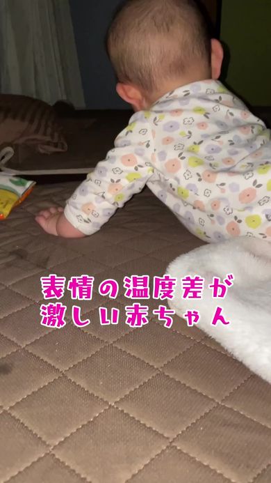 おすすめ