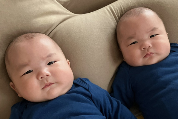 双子 赤ちゃん じっとこちらを見つめている 一卵性双生児