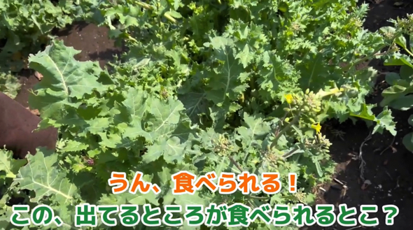 楽しそうに会話するおばあちゃんとひ孫