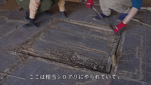 築95年の古民家の畳の下にあった謎の空間を発見