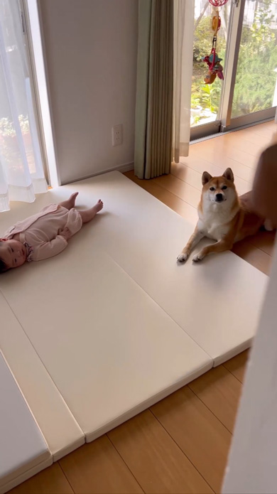 まーちゃんを見守るお姉ちゃん