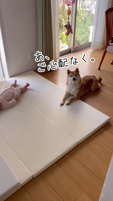 安心していいよ