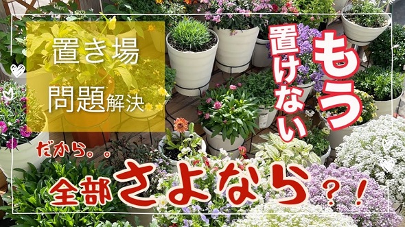 狭い庭での置き場所問題解決のためダウンサイズの方法解説
