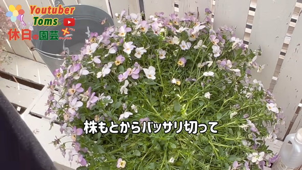 狭い庭での置き場所問題解決のためダウンサイズの方法解説