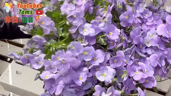 狭い庭での置き場所問題解決のためダウンサイズの方法解説