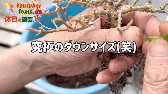 狭い庭での置き場所問題解決のためダウンサイズの方法解説