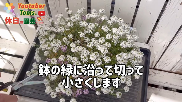 狭い庭での置き場所問題解決のためダウンサイズの方法解説