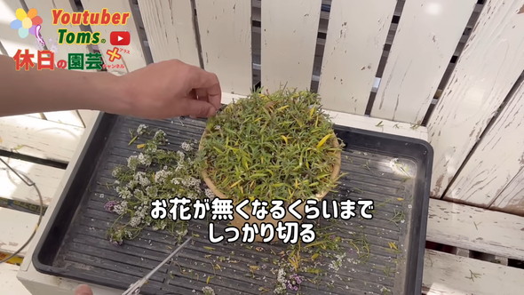 狭い庭での置き場所問題解決のためダウンサイズの方法解説