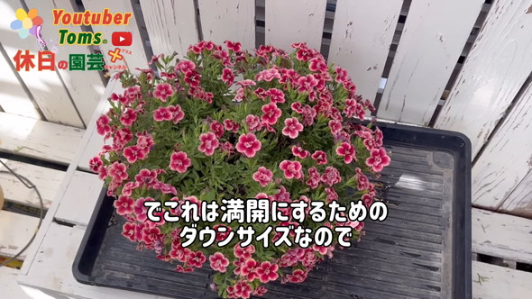 狭い庭での置き場所問題解決のためダウンサイズの方法解説