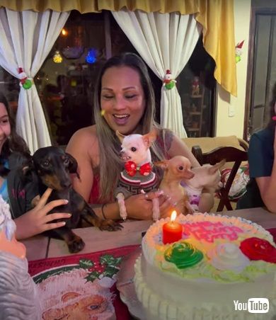 お祝いされるワンコ