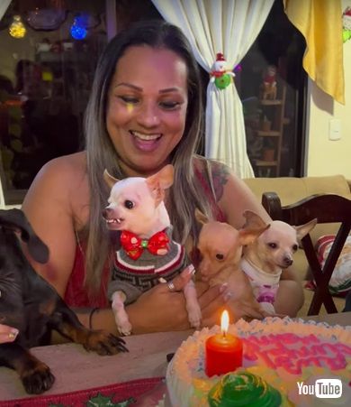 お祝いされるワンコ