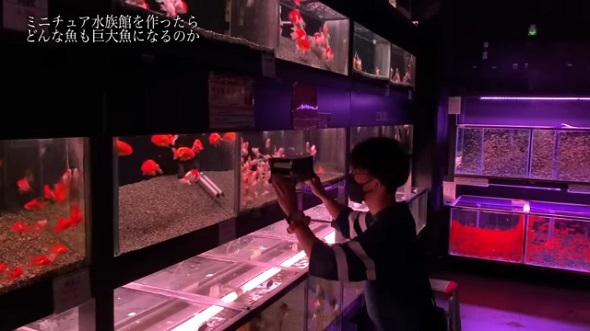 ミニチュア水族館のメイキング動画