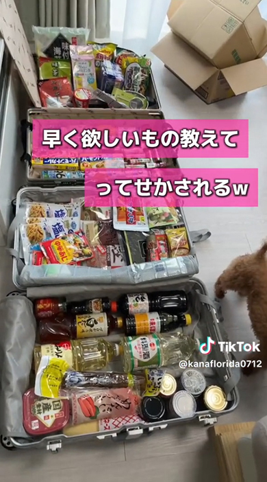 早く欲しい物教えてって