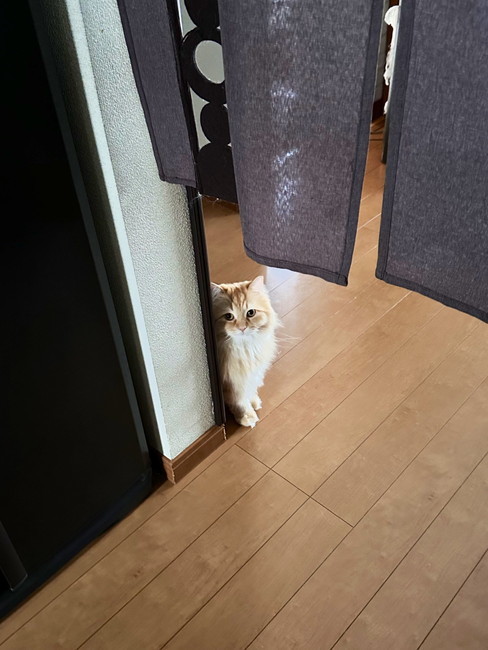 エマちゃん見てる