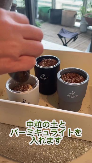 セリアのプラカップとプラボトルを組み合わせた容器でベビーリーフ栽培