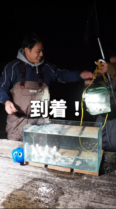 海 危険生物 水槽 アクアリウム ゴンズイ