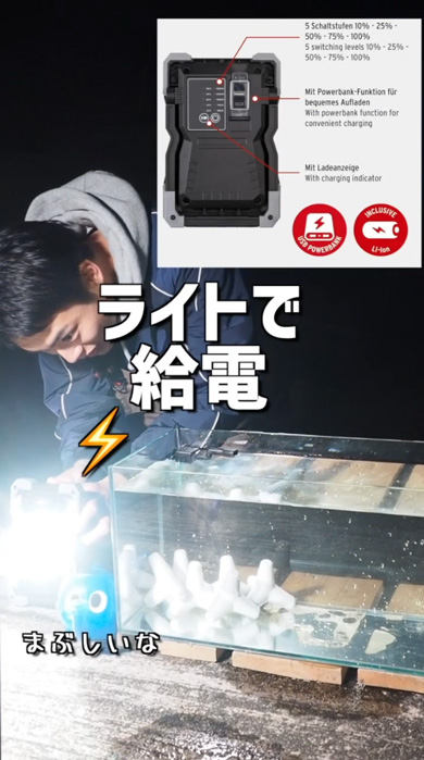 海 危険生物 水槽 アクアリウム ゴンズイ